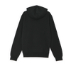 HOODIE CLASSIC LOGO (Voir l'image 2/2)